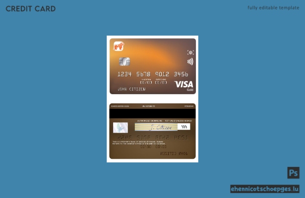 Beispielvorschau der Georgia Bank of Georgia Visa Gold Card